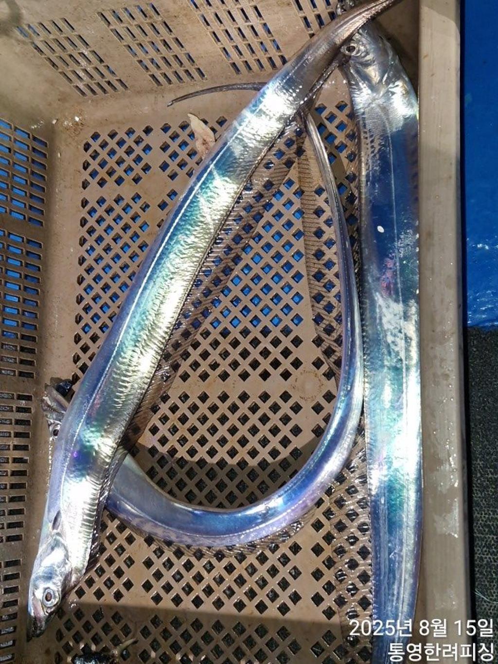F274915276.jpg