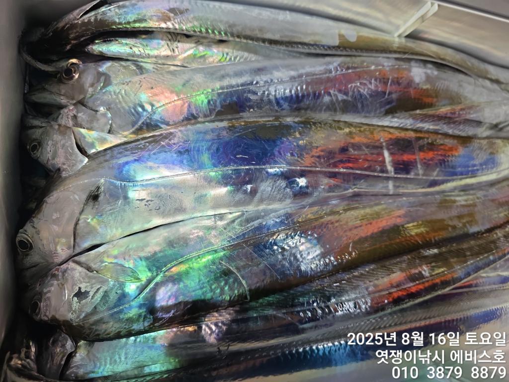 F2749273TX.jpg
