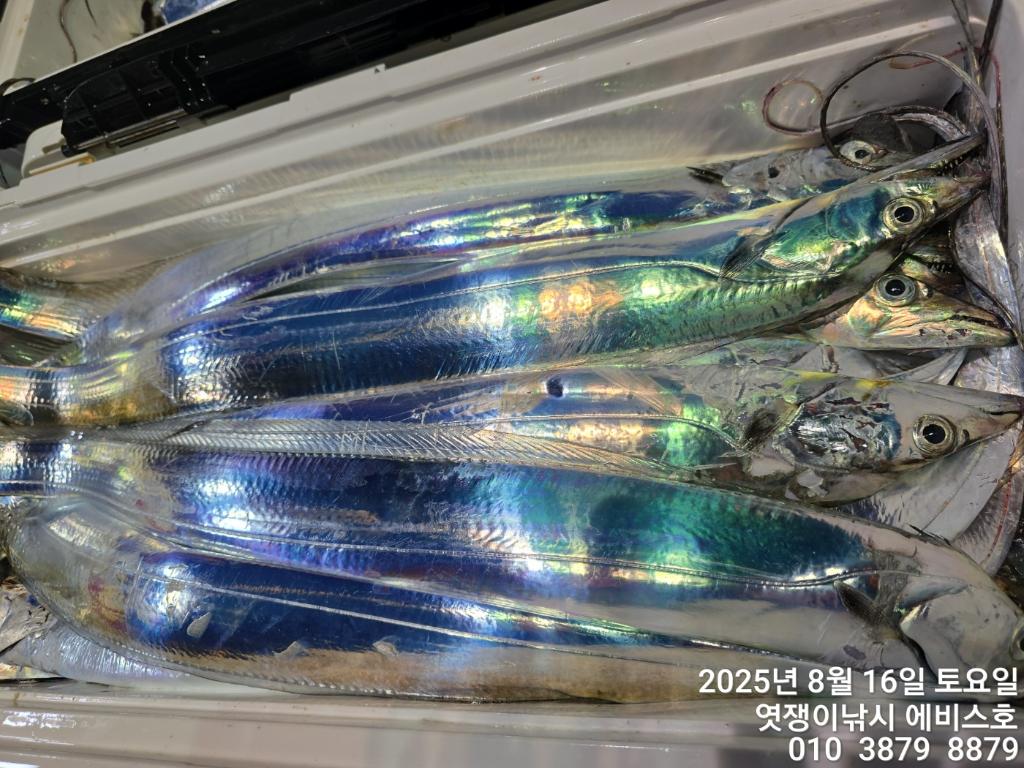 F2749277OG.jpg
