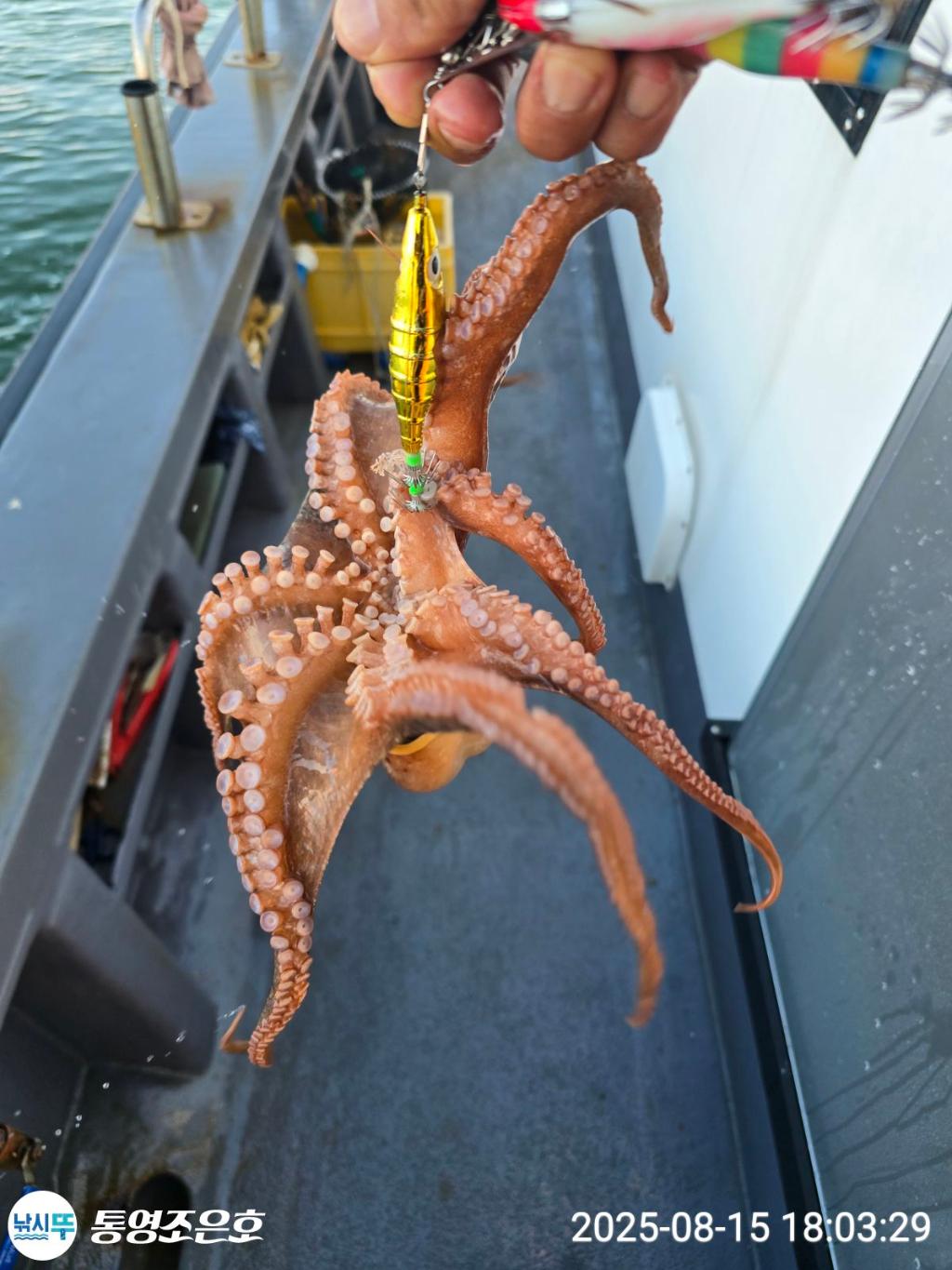 F2749438KG.jpg