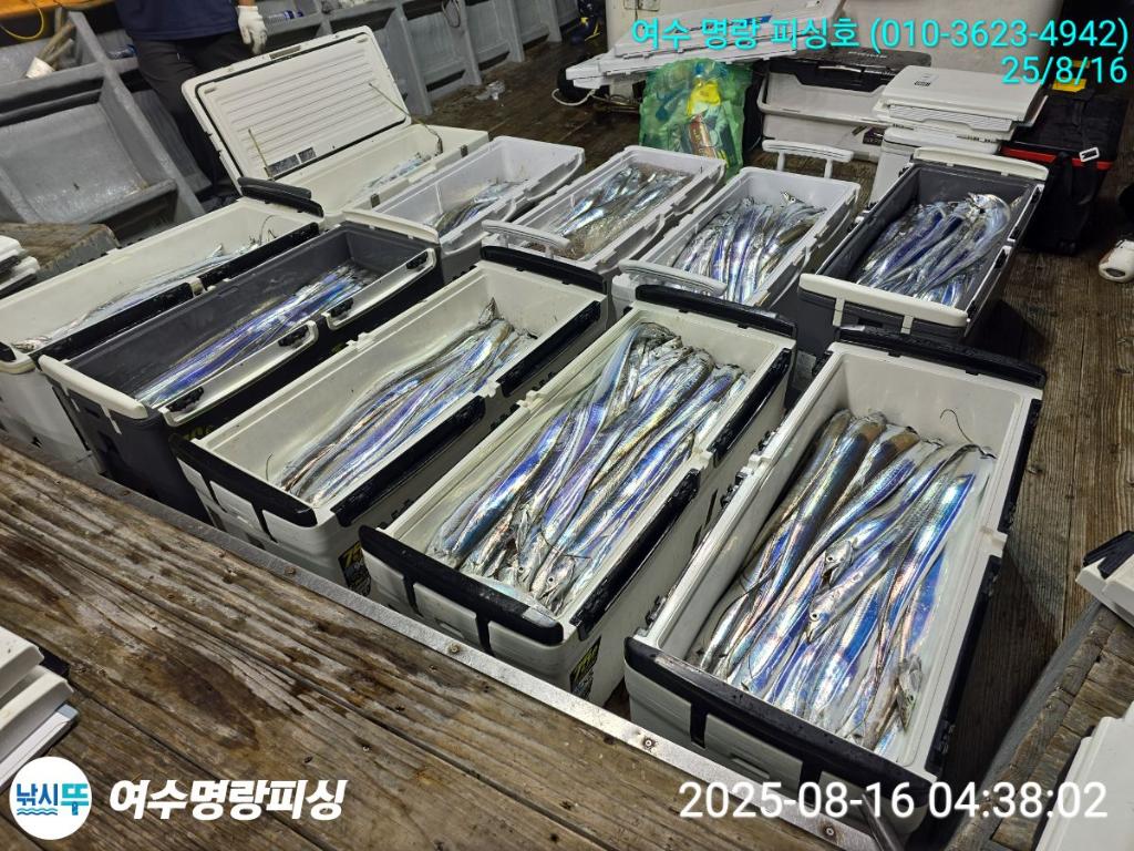 F2749549IN.jpg