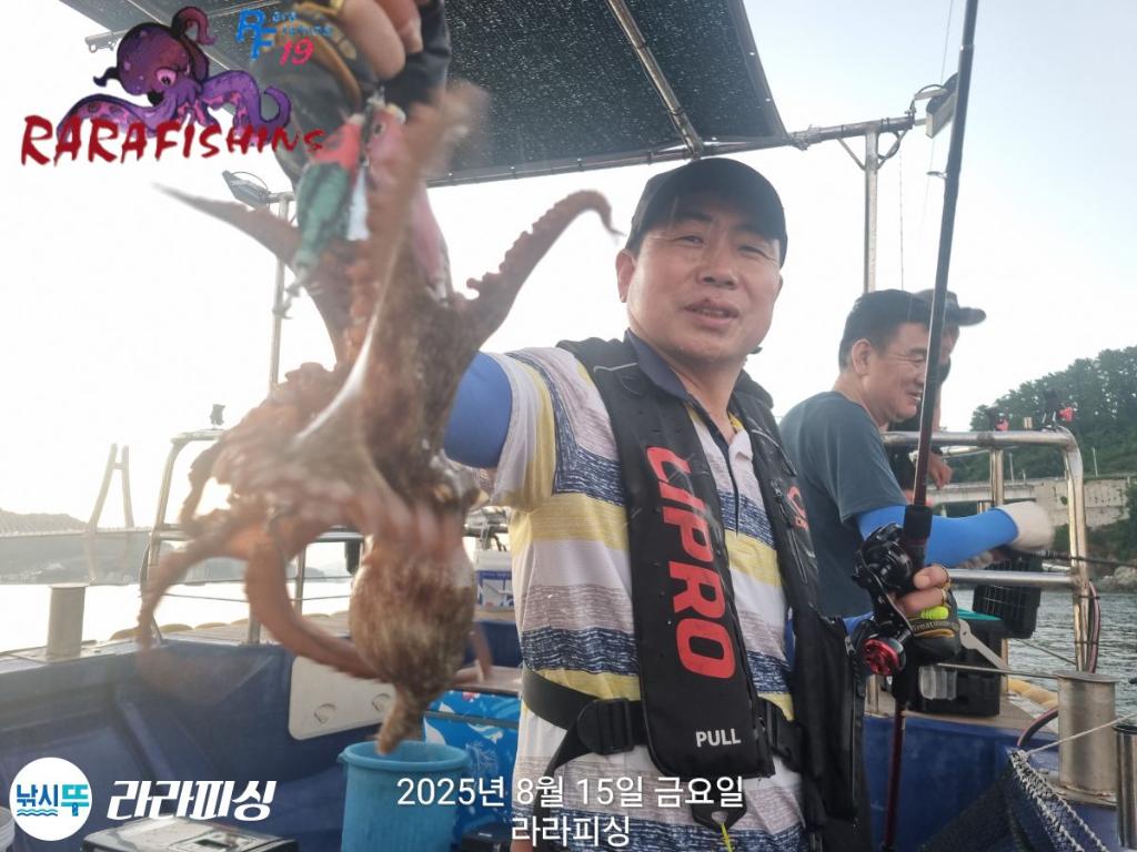 낚시뚜,돌문어,속천항(진해),라라피싱,낚시뚜3