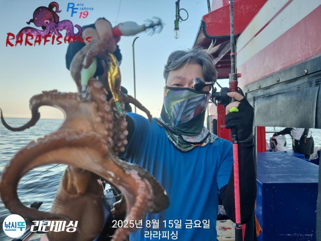 낚시뚜,돌문어,속천항(진해),라라피싱,낚시뚜2