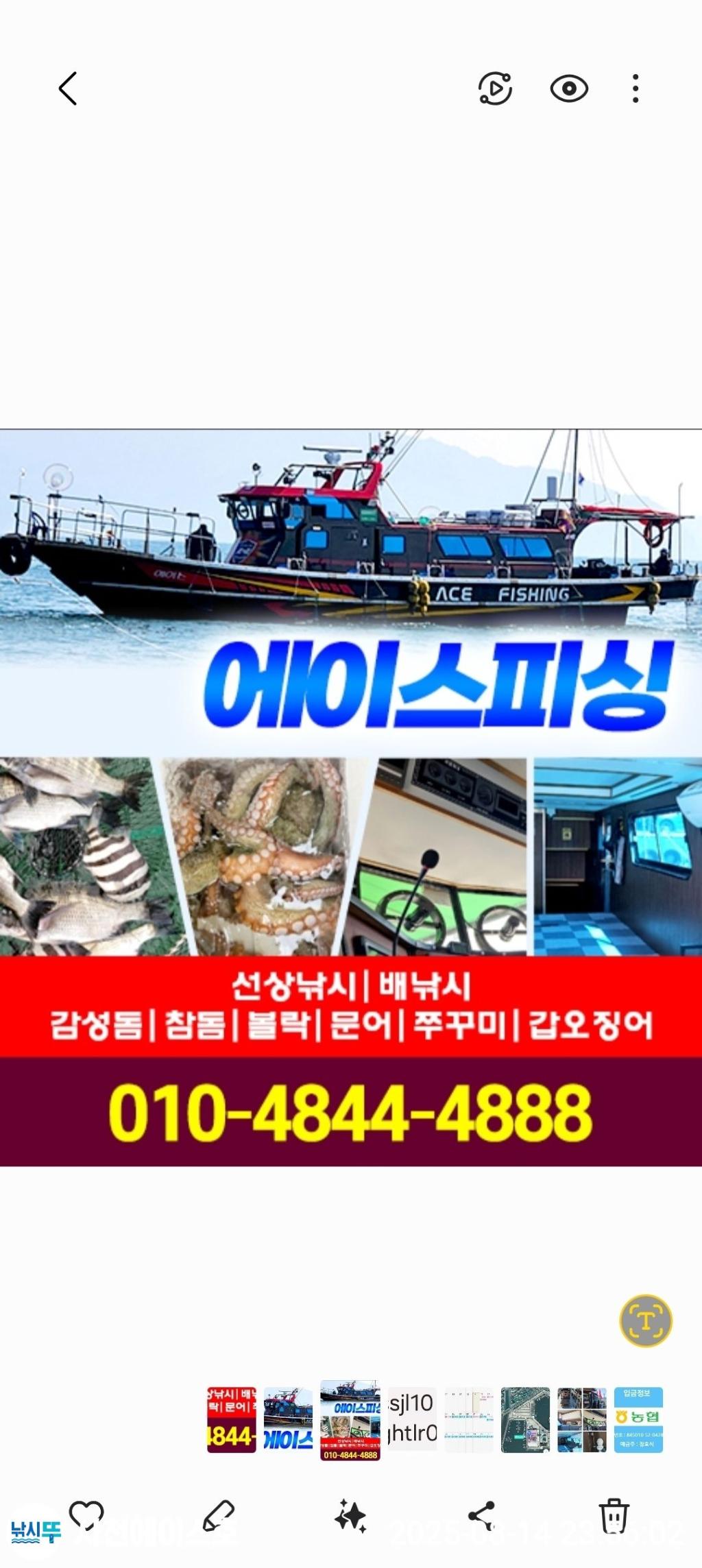 낚시뚜,돌문어,삼천포 팔포항,사천에이스호,낚시뚜12