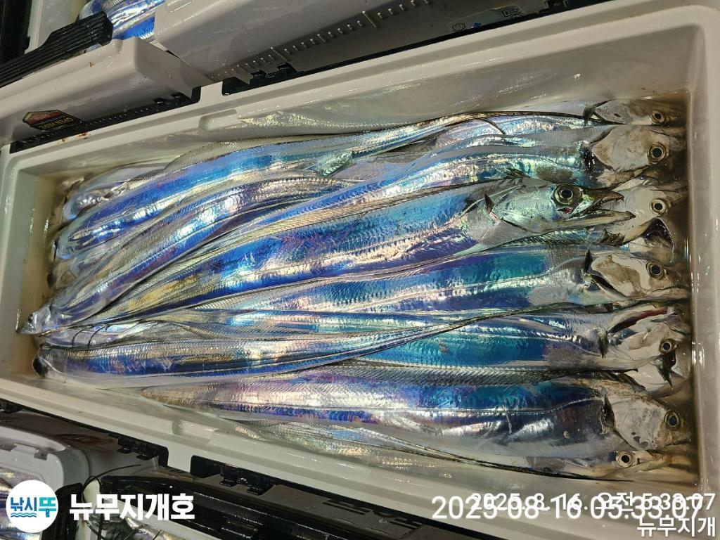 F2749790QU.jpg