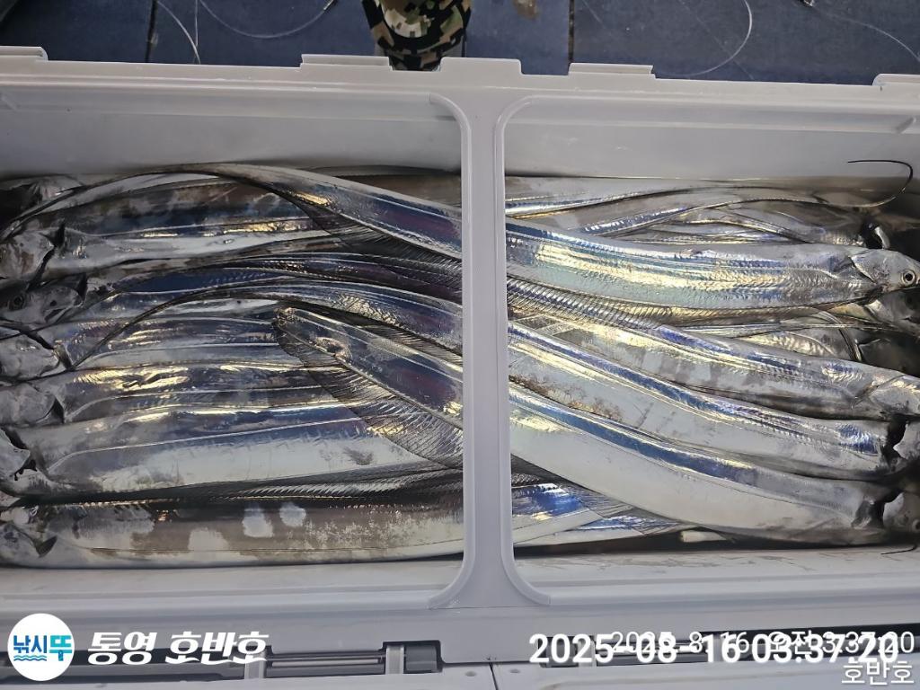F2749880LQ.jpg