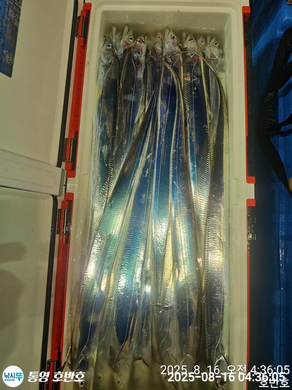 F2749884ED.jpg