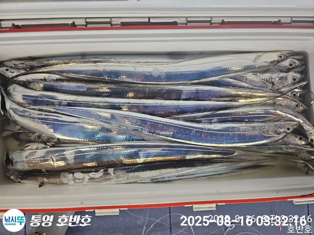 F274988850.jpg