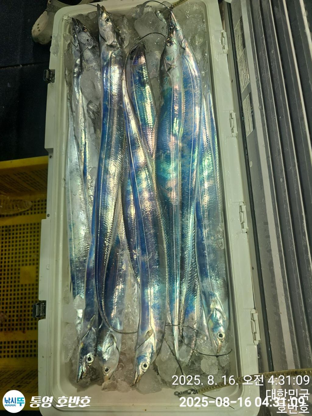 F274989338.jpg