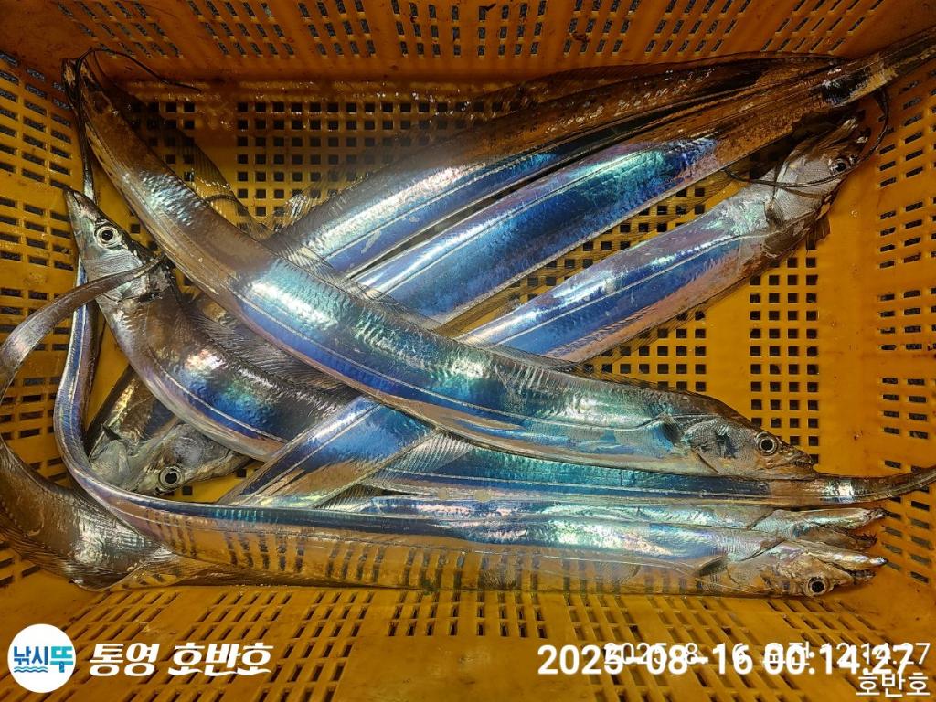 F2749897BR.jpg