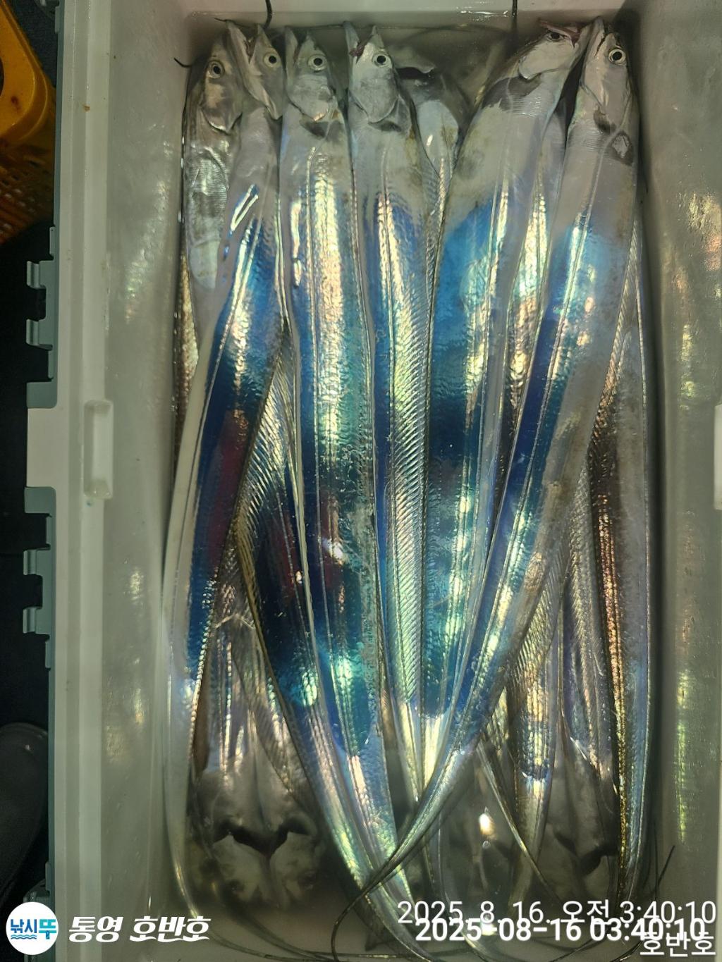 F2749899F8.jpg