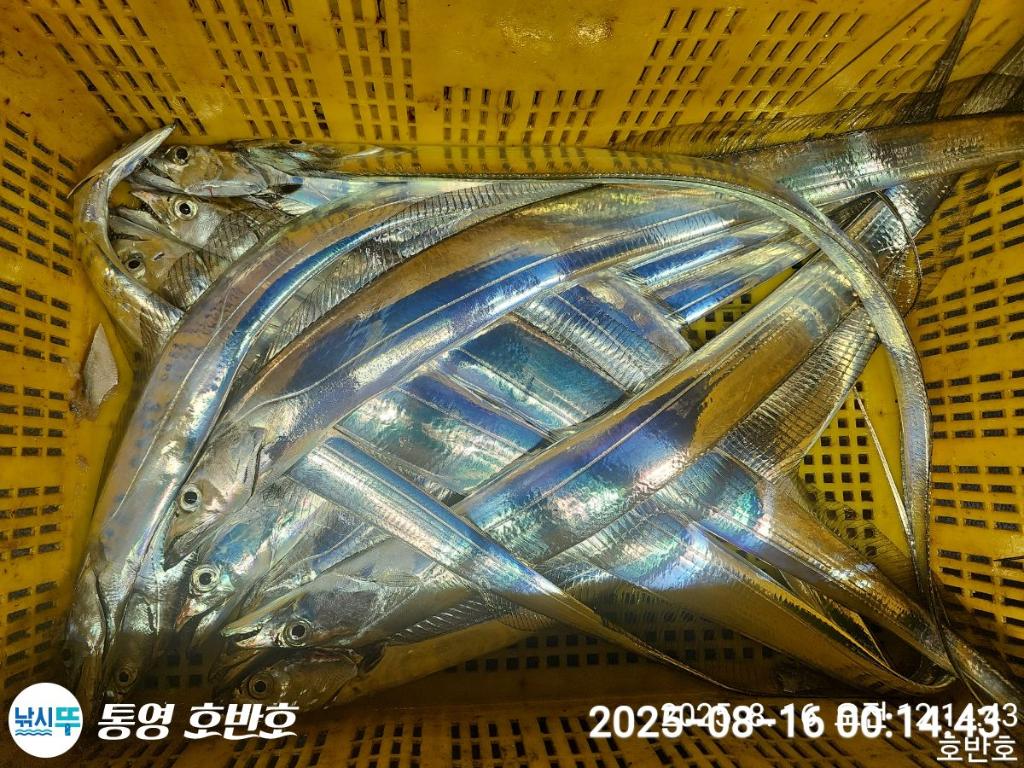 F2749903NF.jpg