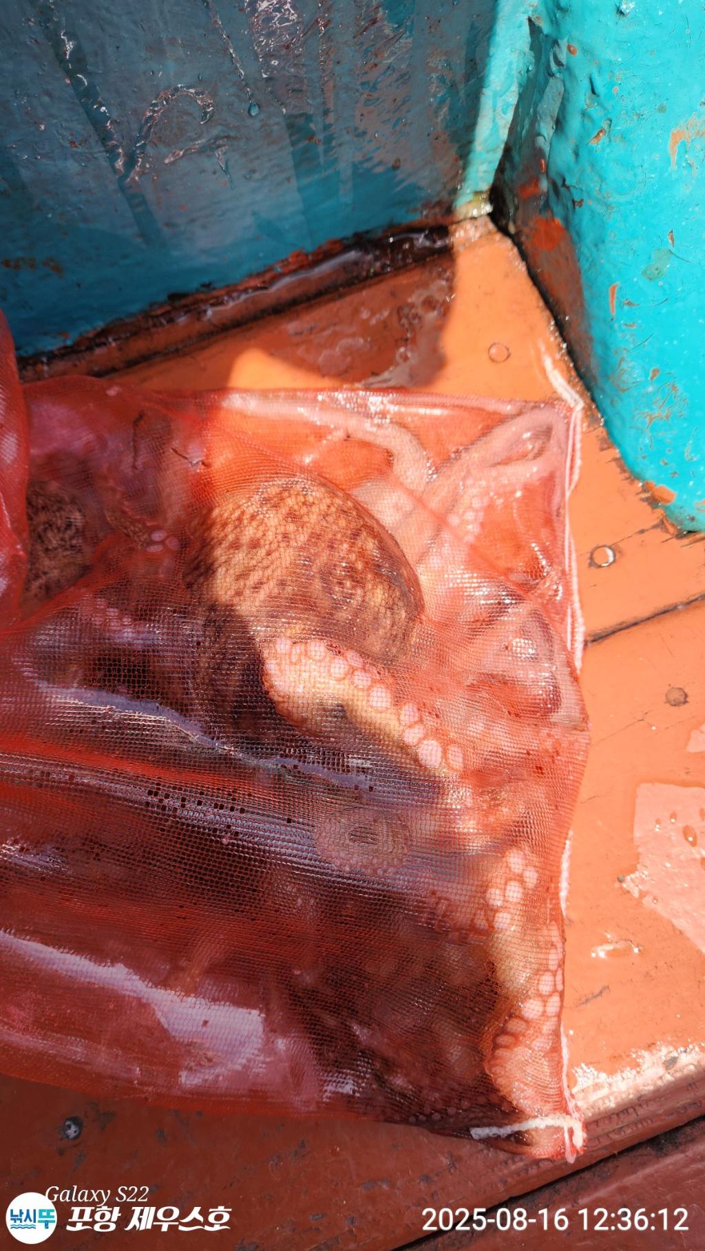 F2749949MV.jpg