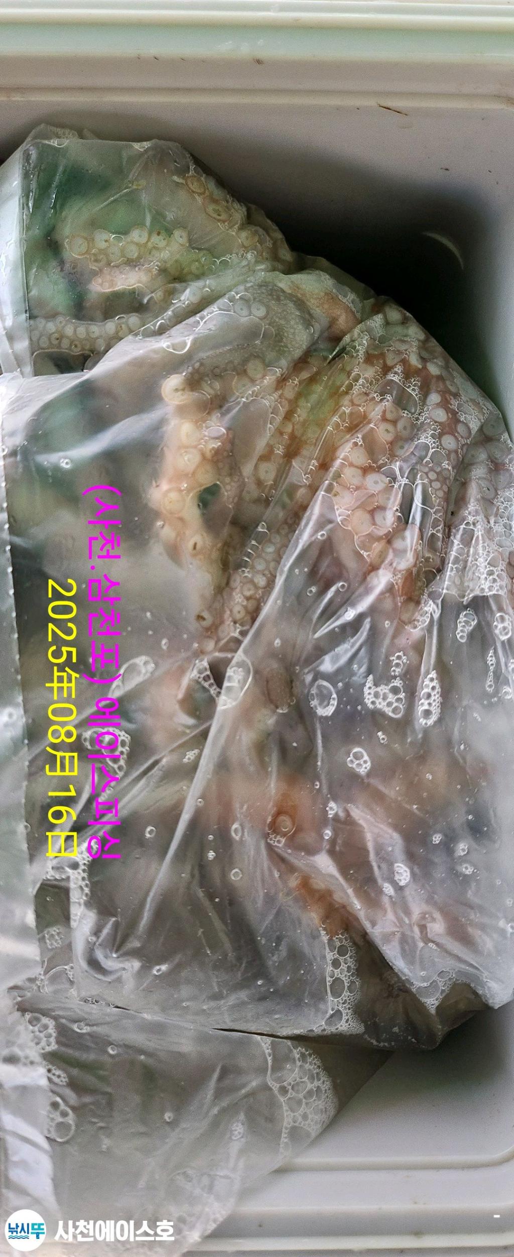 낚시뚜,돌문어,삼천포 팔포항,사천에이스호,낚시뚜8