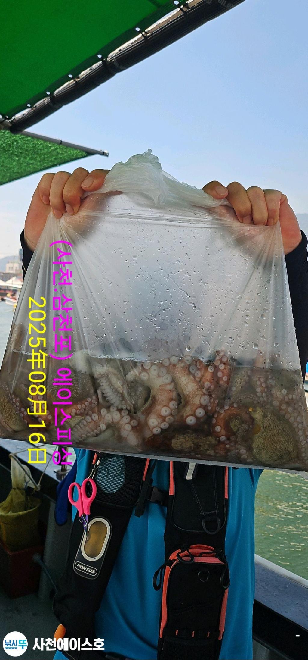 낚시뚜,돌문어,삼천포 팔포항,사천에이스호,낚시뚜4