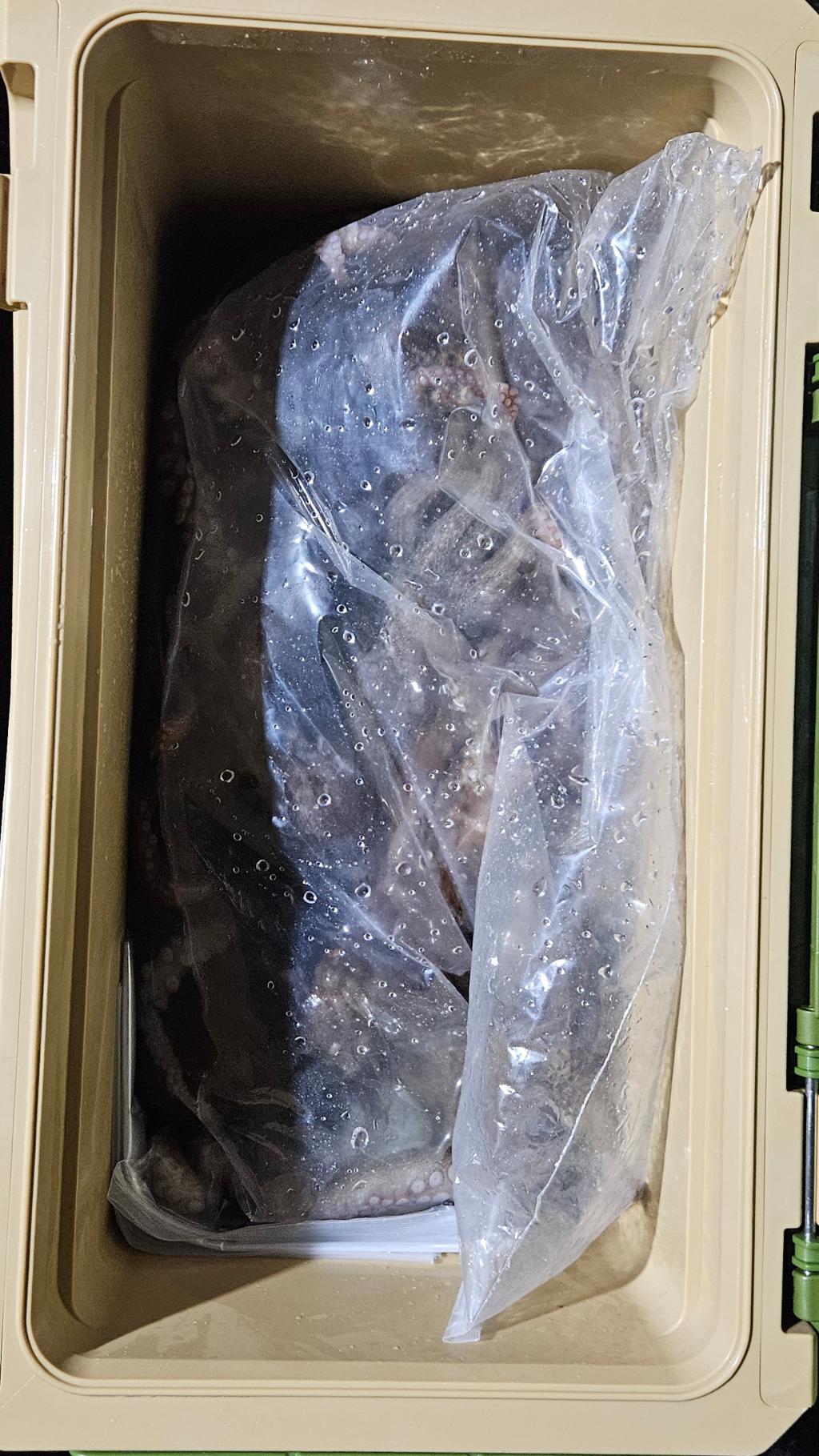 F2750114ZD.jpg
