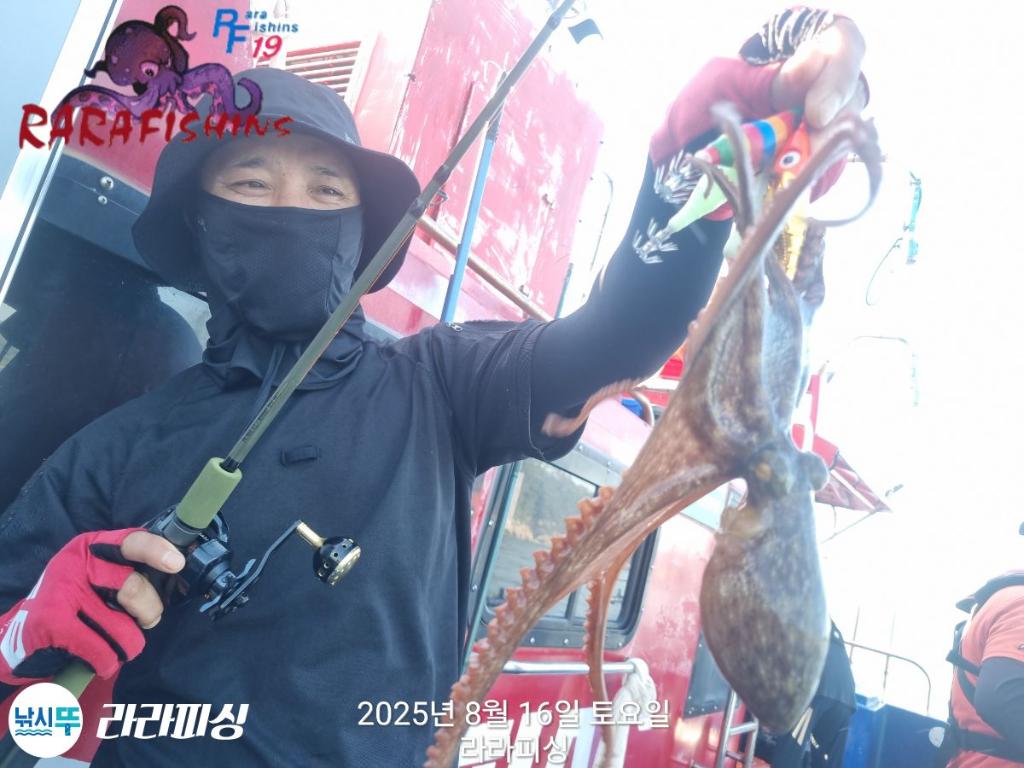 낚시뚜,돌문어,속천항(진해),라라피싱,낚시뚜15