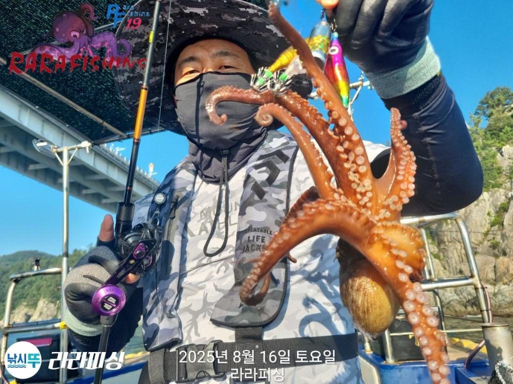 낚시뚜,돌문어,속천항(진해),라라피싱,낚시뚜14