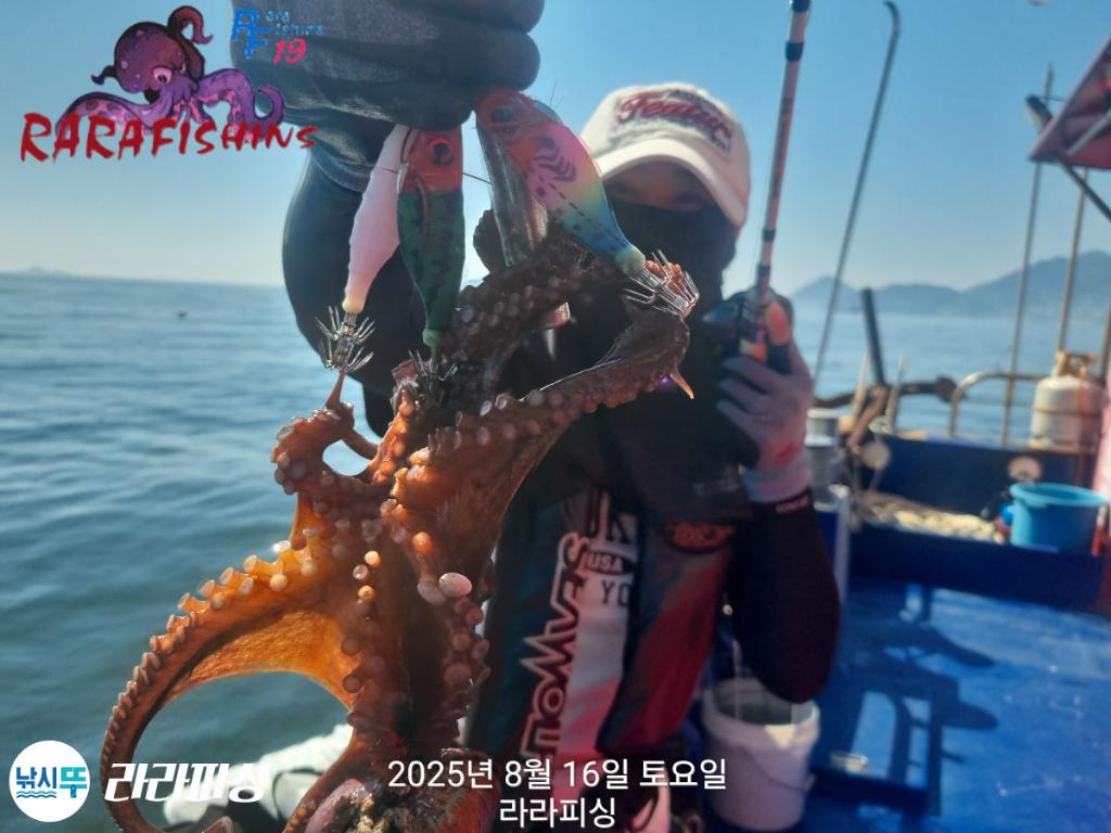 낚시뚜,돌문어,속천항(진해),라라피싱,낚시뚜11