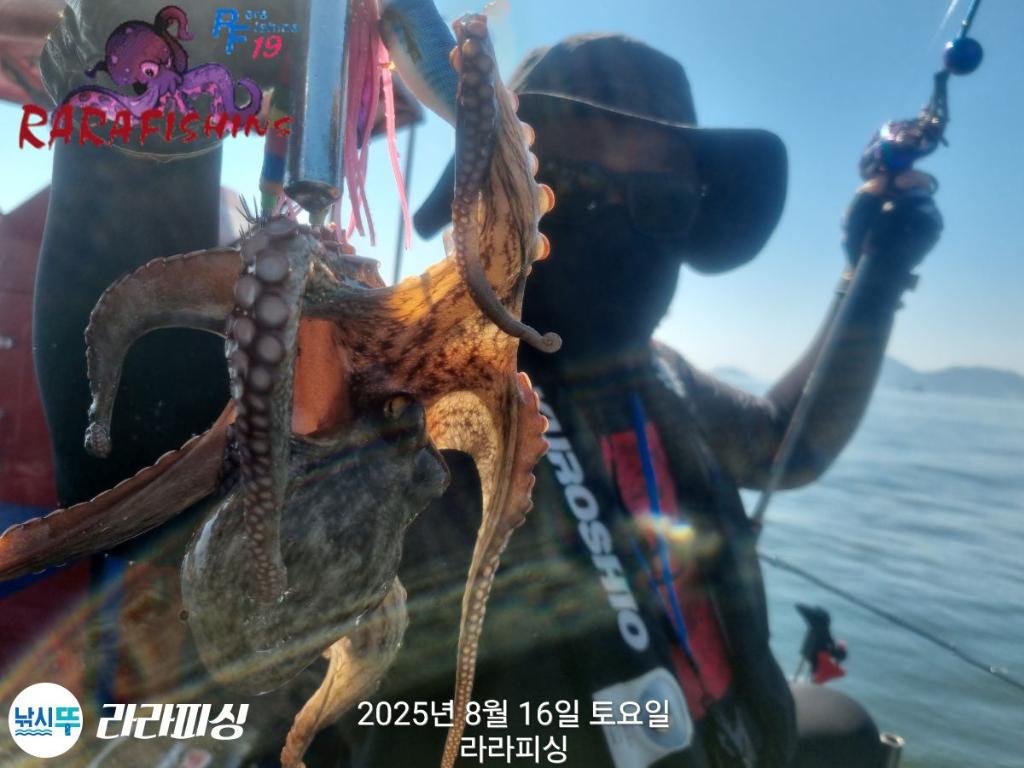 낚시뚜,돌문어,속천항(진해),라라피싱,낚시뚜10
