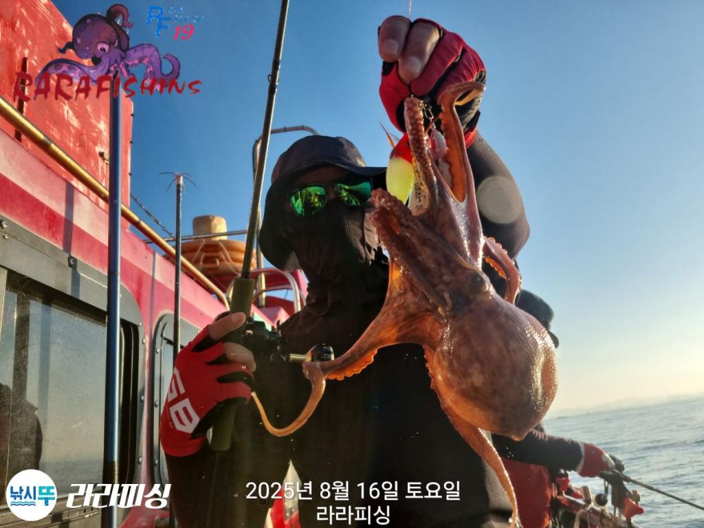낚시뚜,돌문어,속천항(진해),라라피싱,낚시뚜5