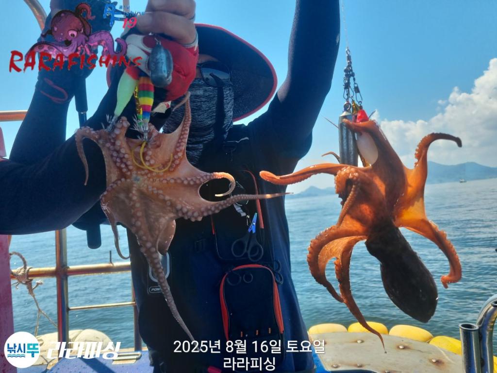 낚시뚜,돌문어,속천항(진해),라라피싱,낚시뚜4