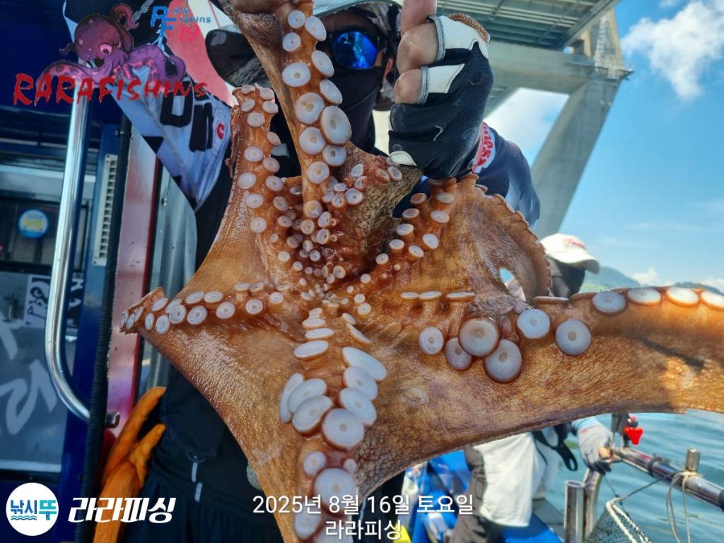 낚시뚜,돌문어,속천항(진해),라라피싱,낚시뚜2