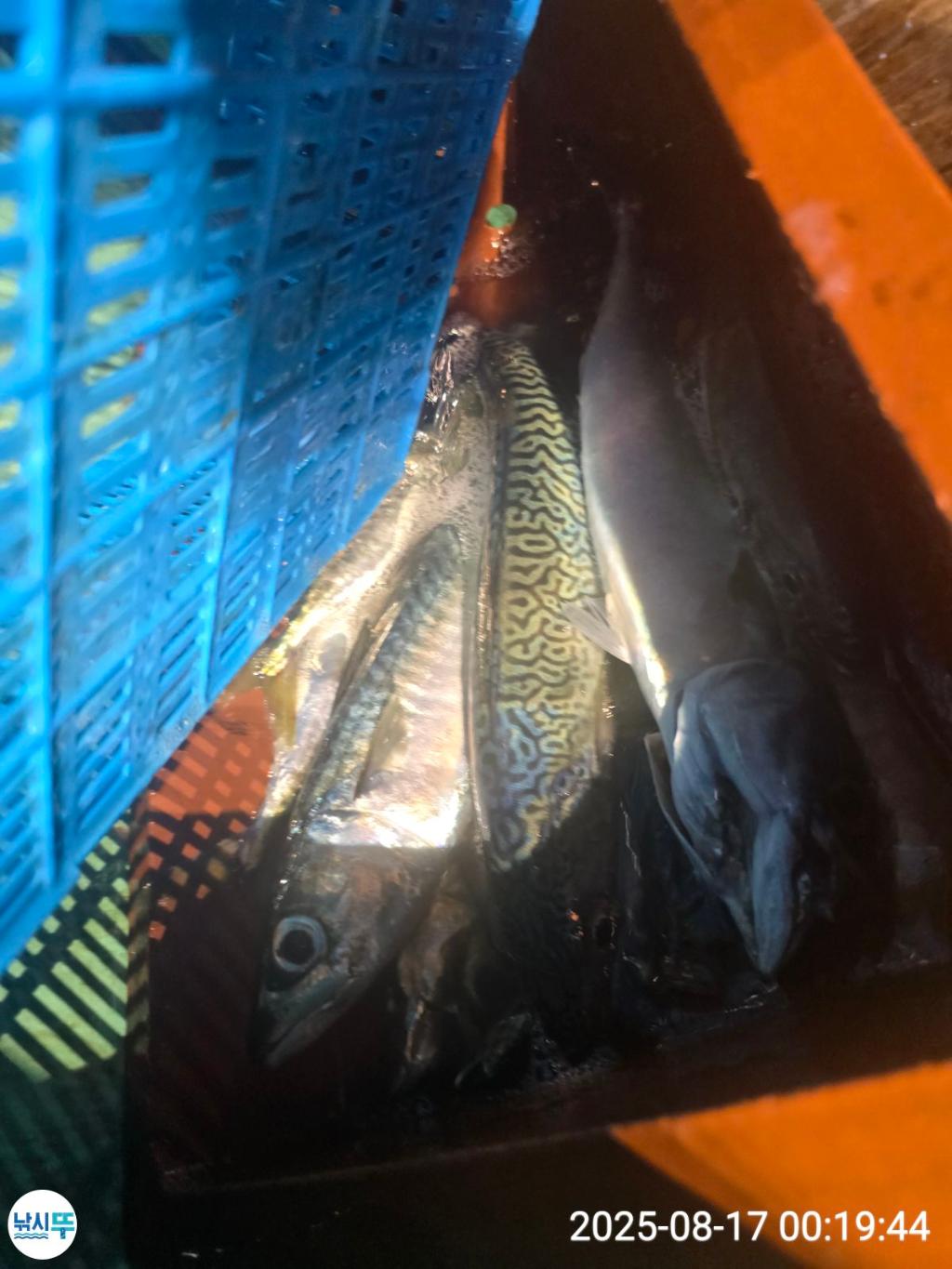 F2750320D6.jpg
