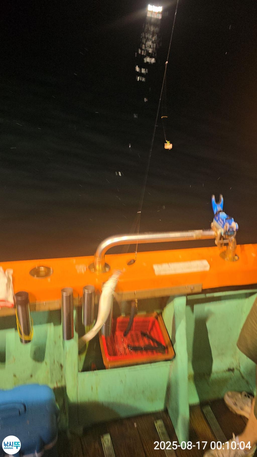 F2750328KV.jpg