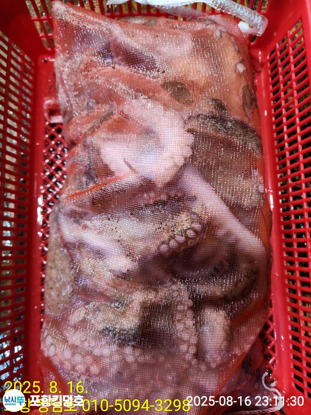 F2750348AM.jpg