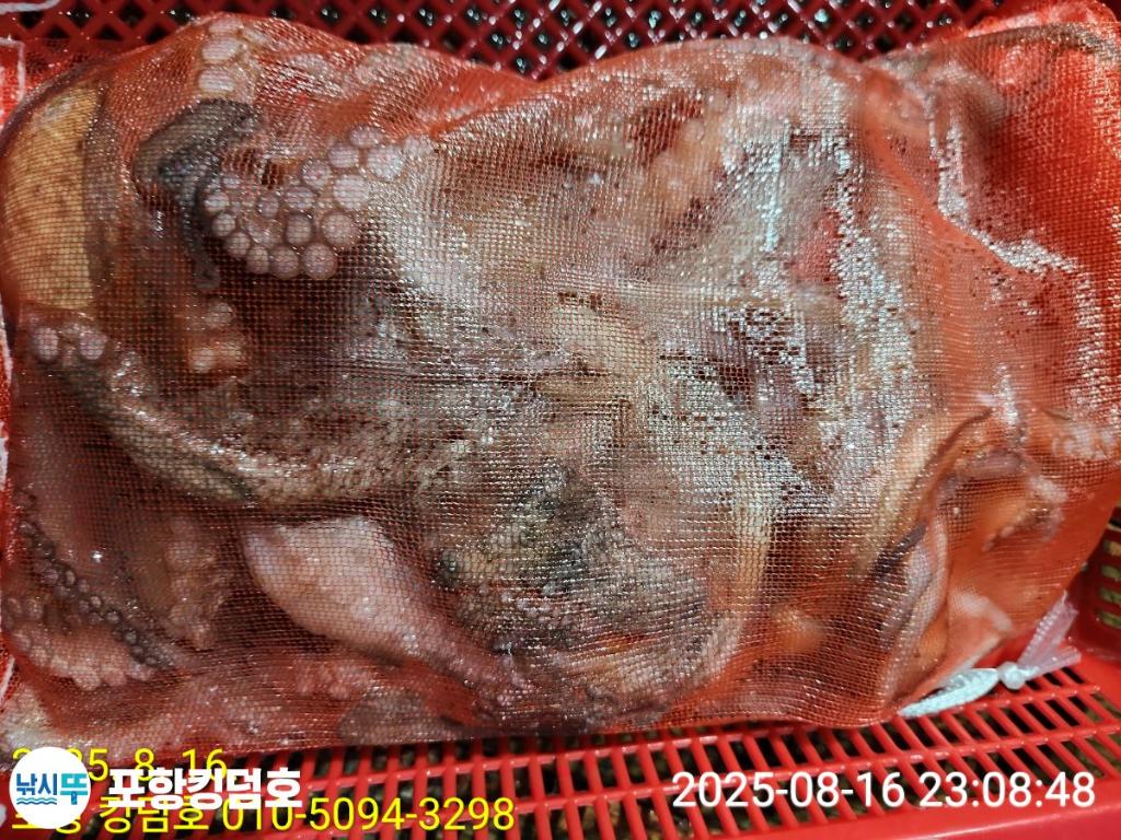 F2750350TP.jpg