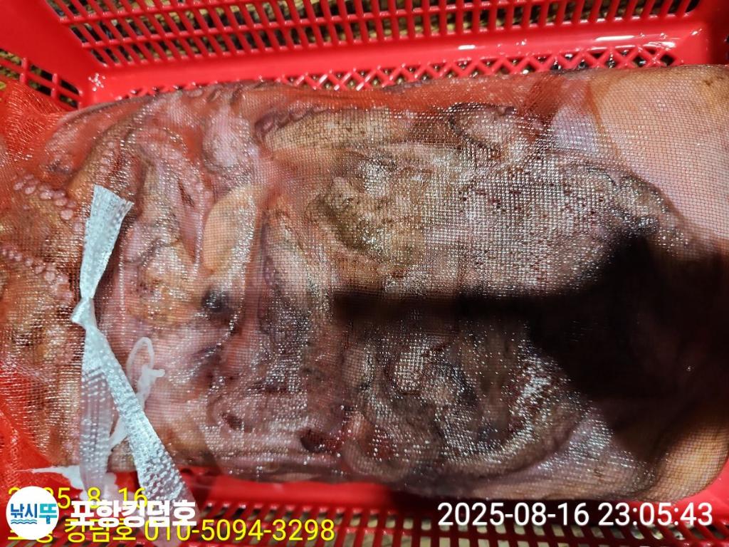 F2750352ZD.jpg