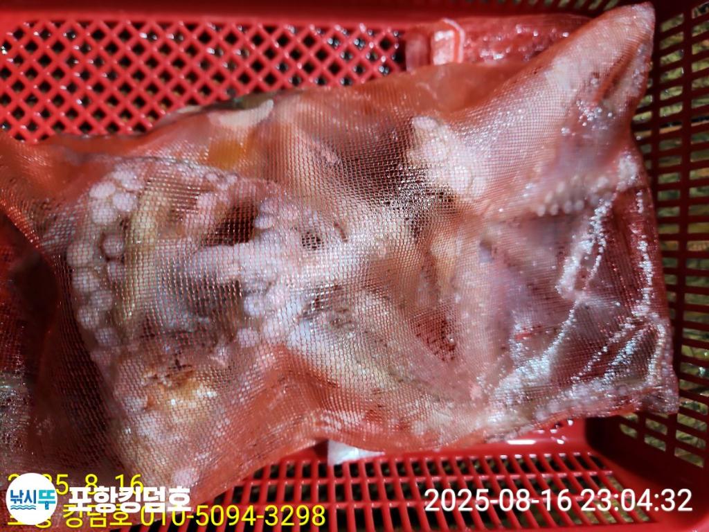 F2750353WW.jpg