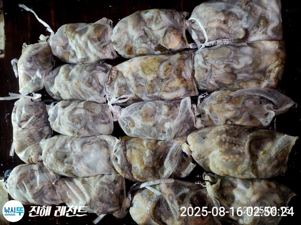 F2750386UT.jpg