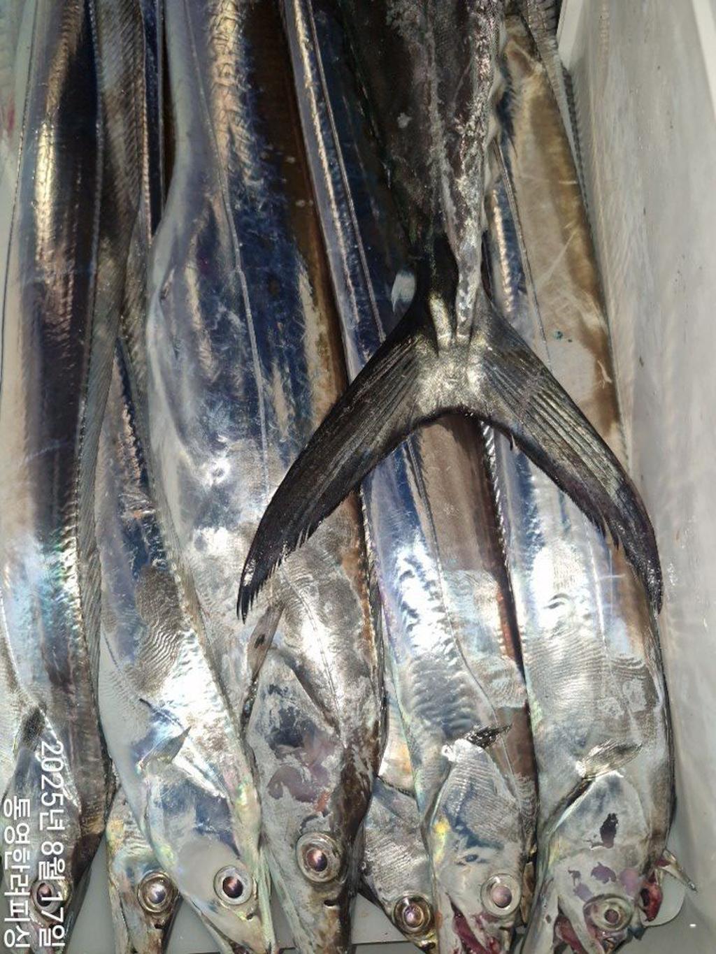 F2750563GS.jpg