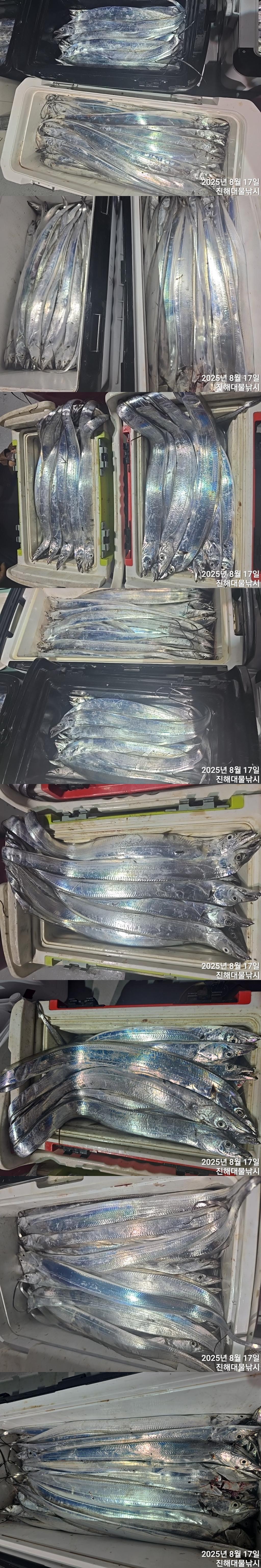 F2750586CY.jpg