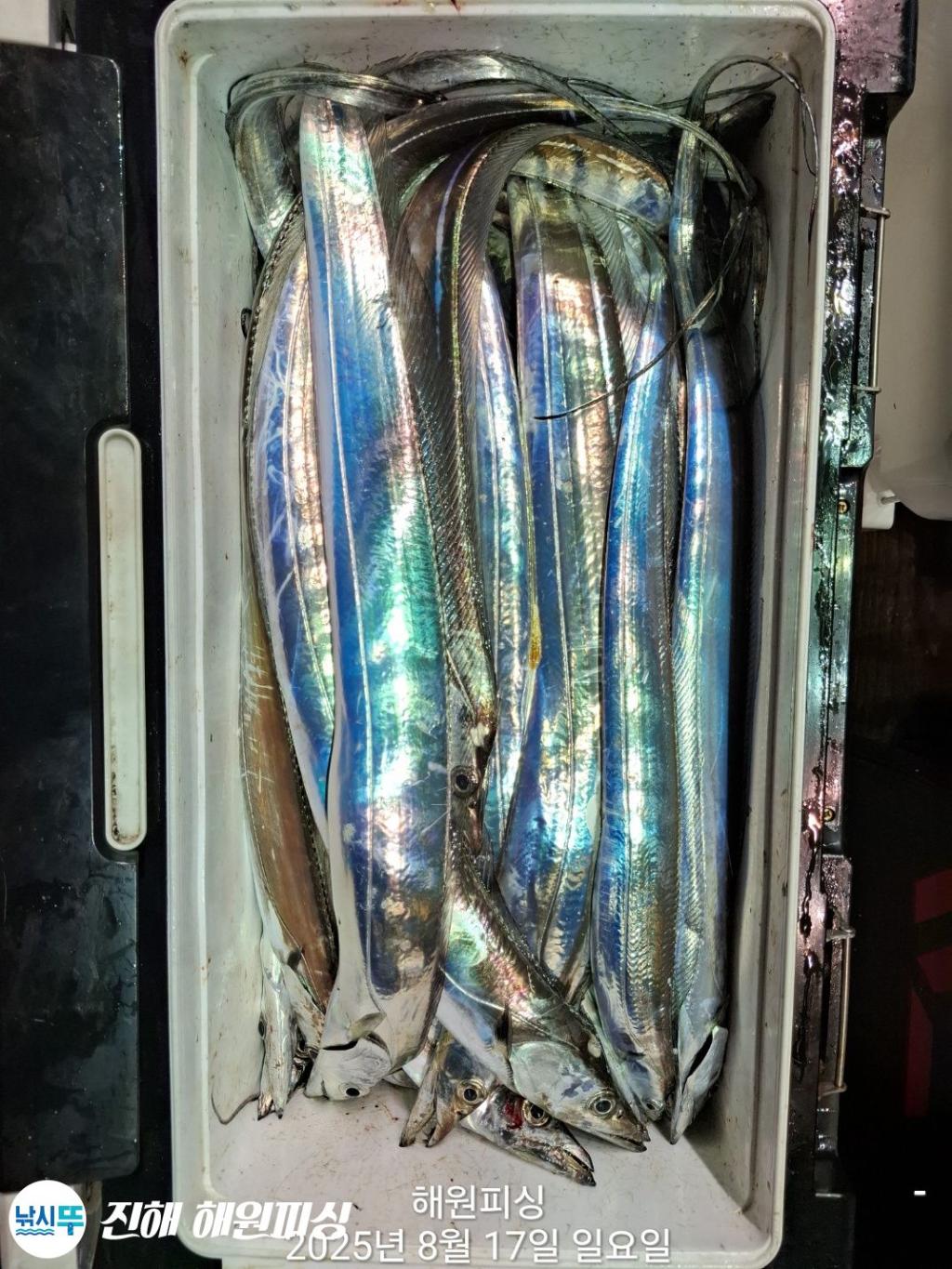 F2750614RP.jpg