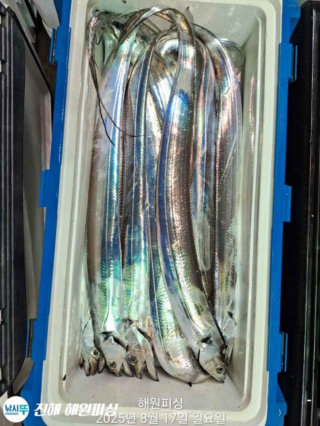 F2750617QQ.jpg