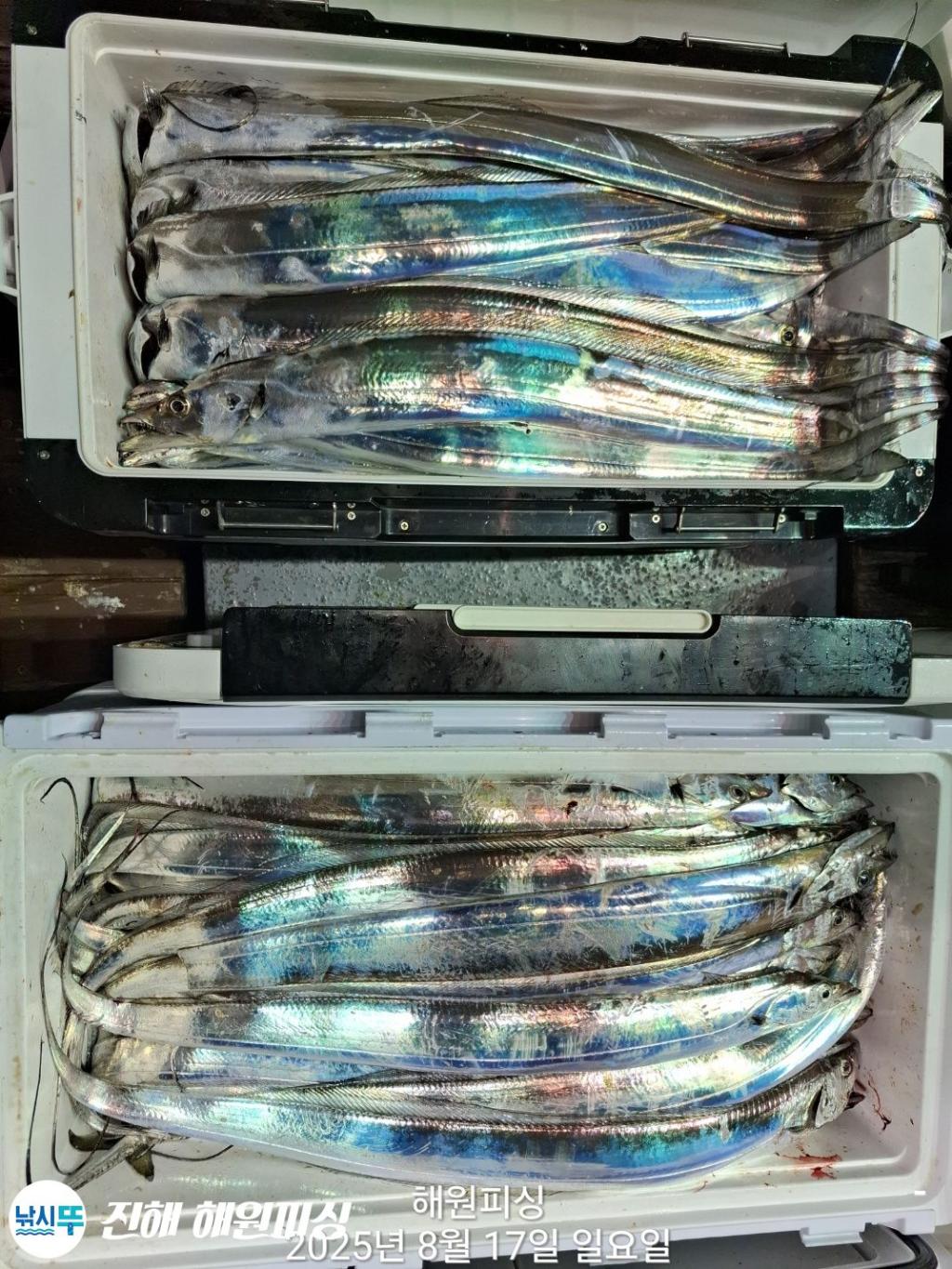F2750620PM.jpg