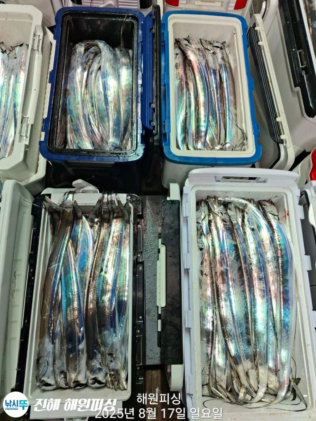 F2750622HO.jpg