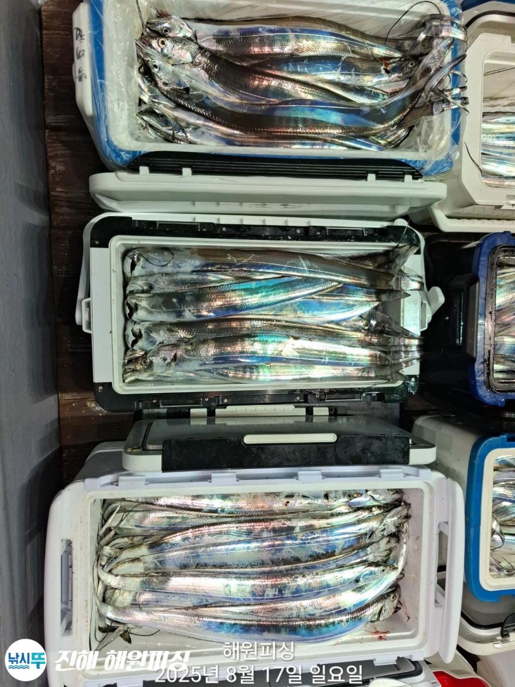 F27506237C.jpg