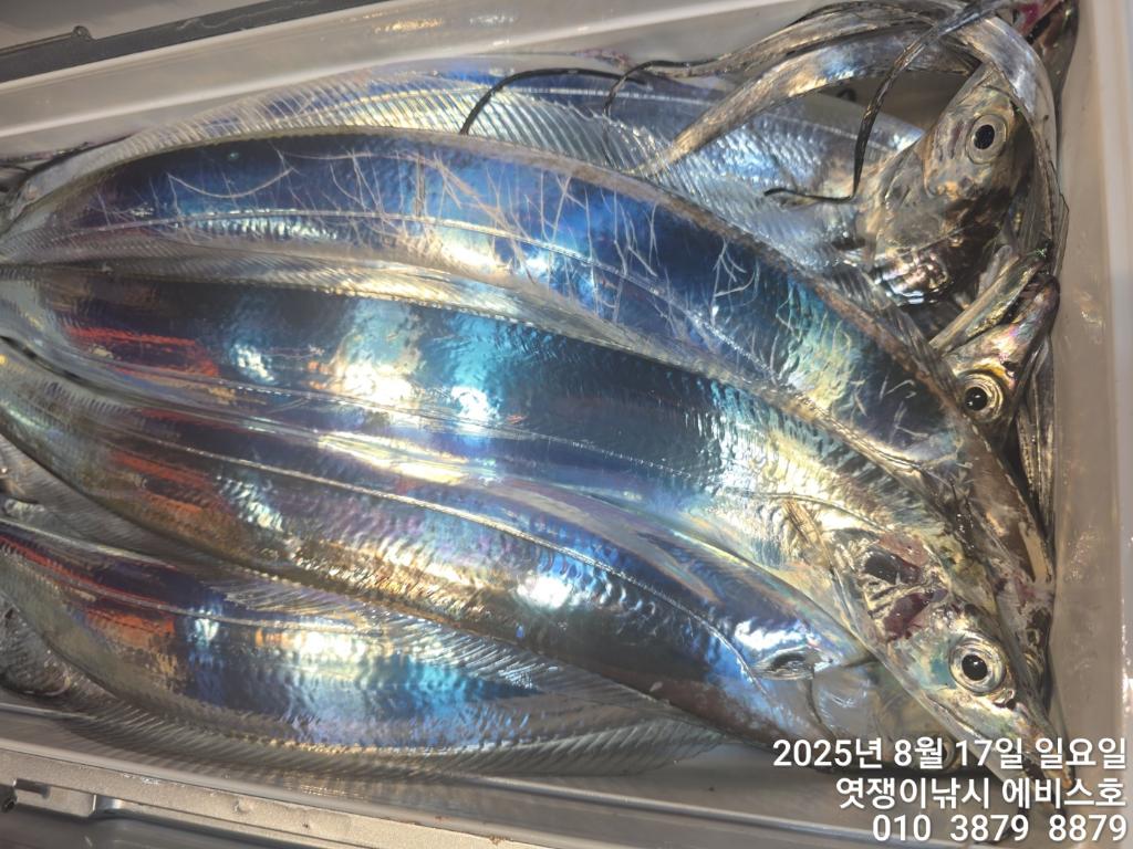 F2750659XZ.jpg
