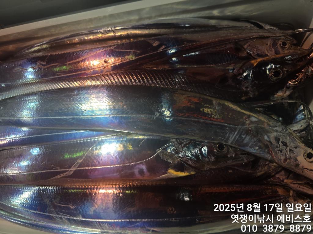 F27506656T.jpg