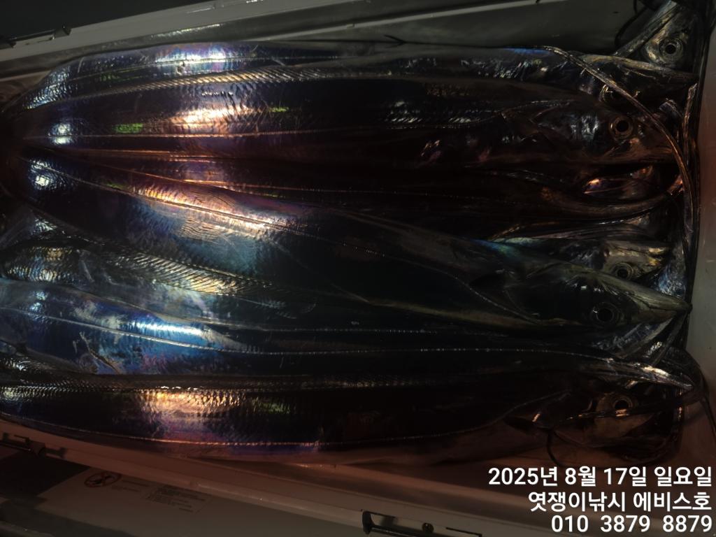 F2750666JF.jpg