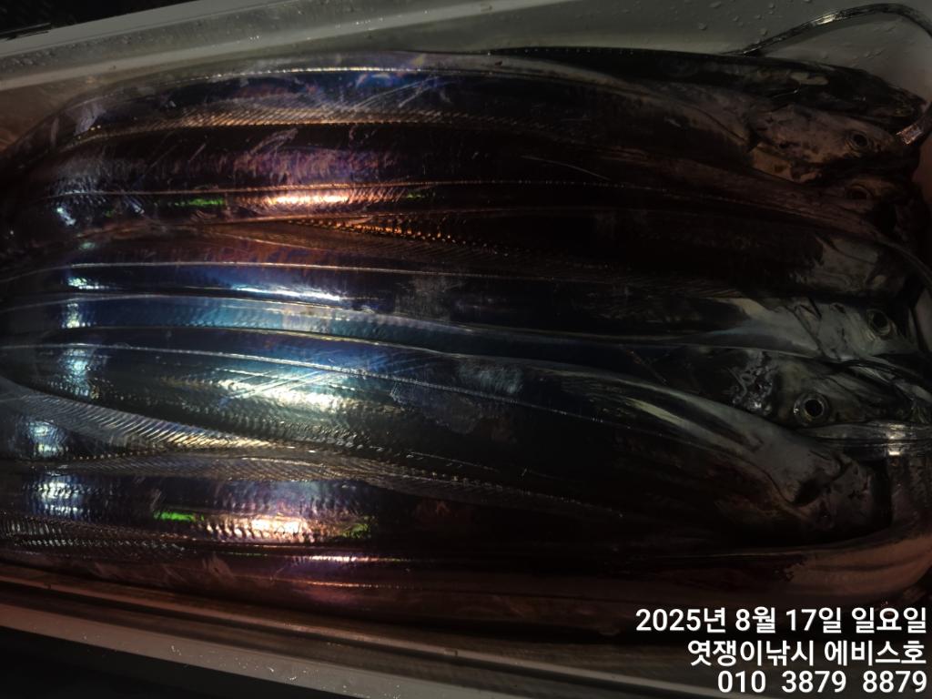 F2750667WS.jpg