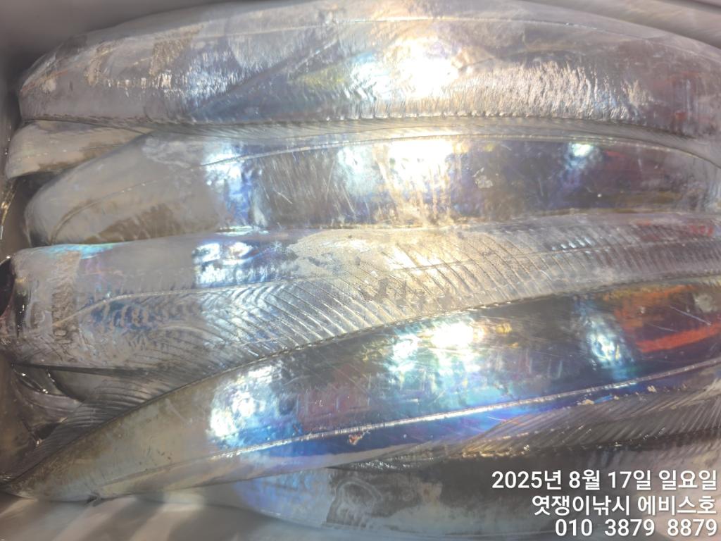 F2750670UT.jpg