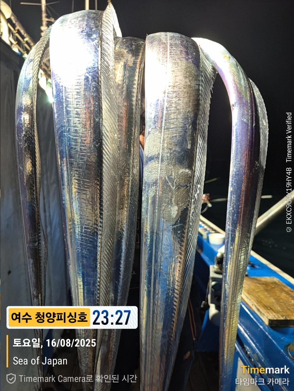F2750750AM.jpg