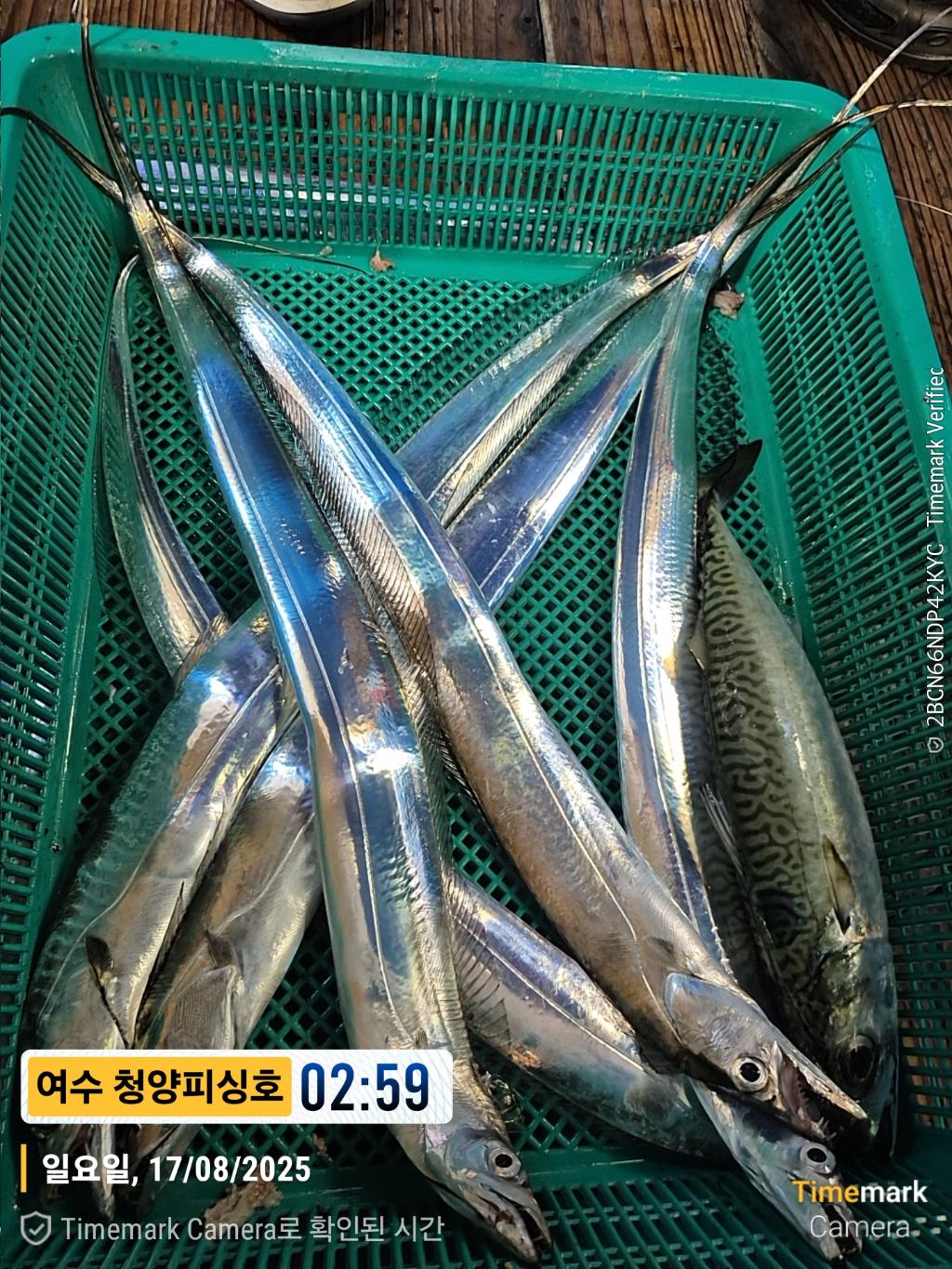 F2750759RY.jpg