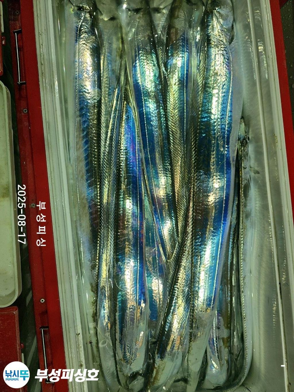 F2750851MQ.jpg