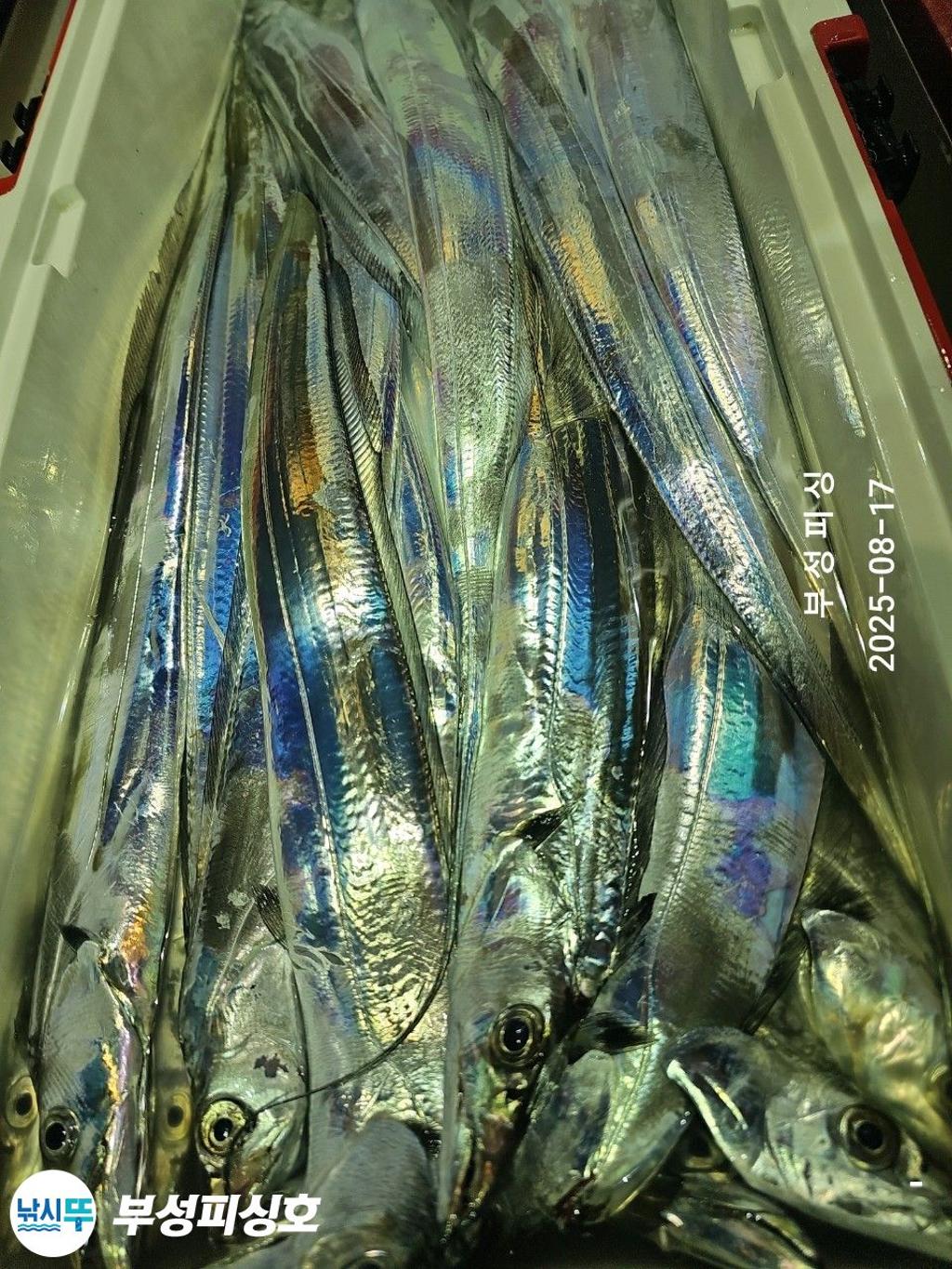 F2750852H2.jpg